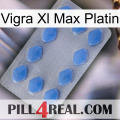 Vigra Xl Max Platinum 21